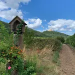 Appartement Vino Palatina *