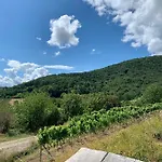 Appartement Vino Palatina *