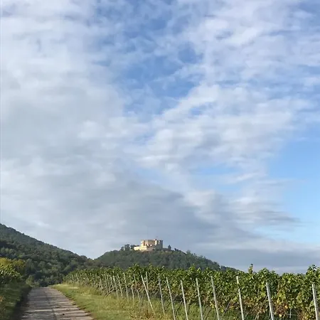 Apartamento Vino Palatina *