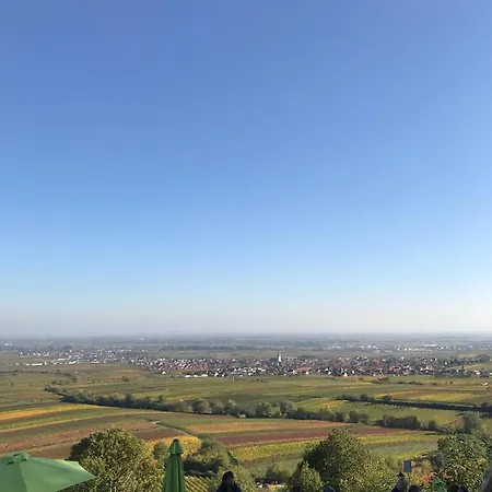 Vino Palatina Apartamento *