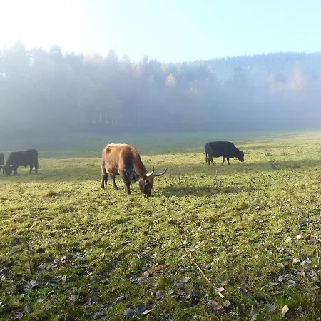 Vino Palatina Apartment *