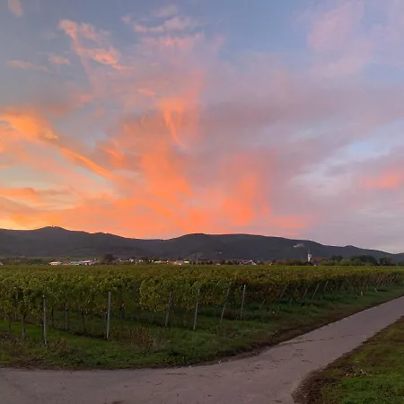 Apartamento Vino Palatina Maikammer