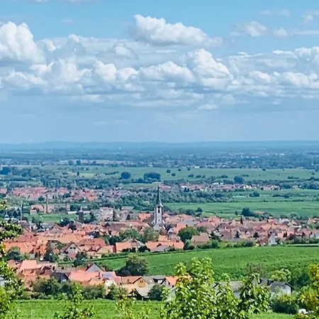 Apartamento Vino Palatina *
