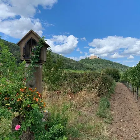 Apartamento Vino Palatina *