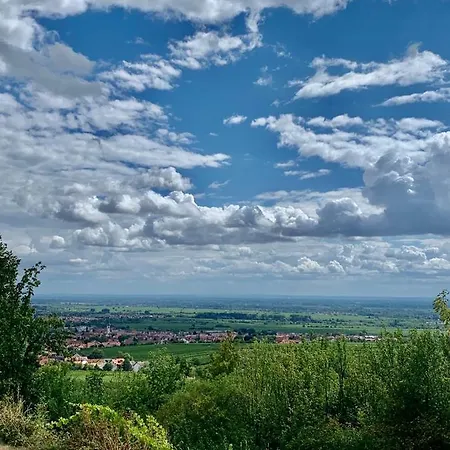 Apartamento Vino Palatina *