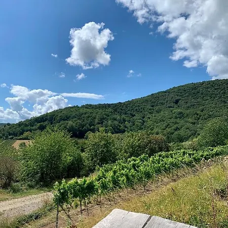 Apartamento Vino Palatina *