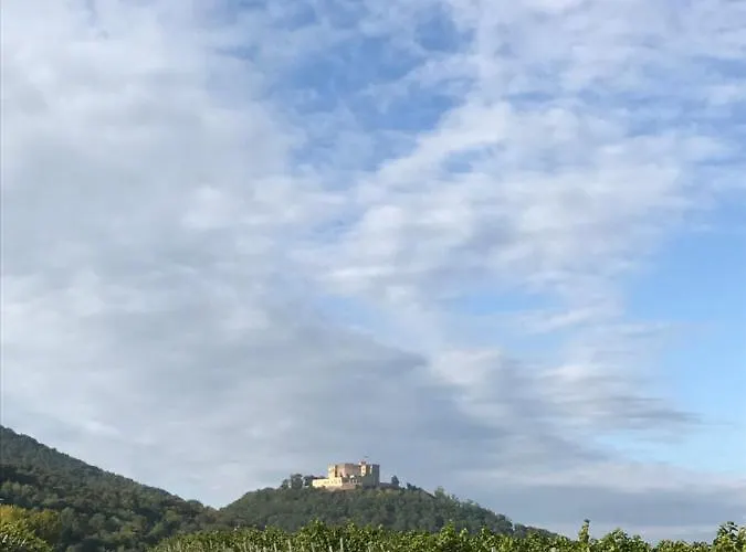 Appartamento Vino Palatina *