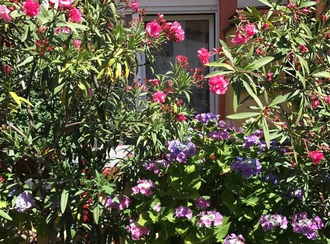 Vino Palatina Appartamento Maikammer