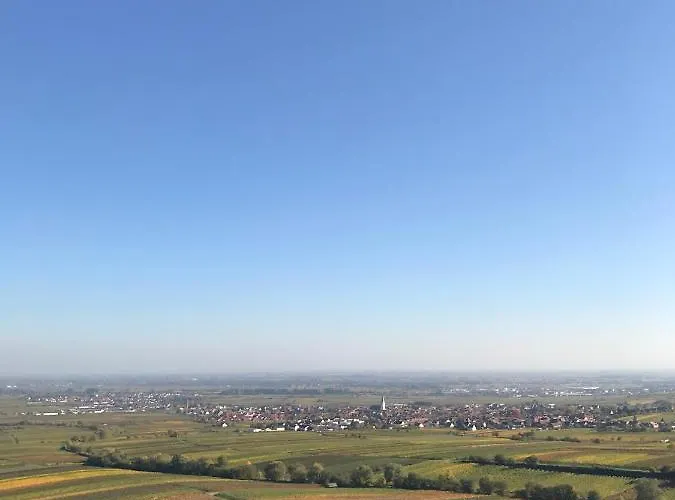 Vino Palatina Appartamento *