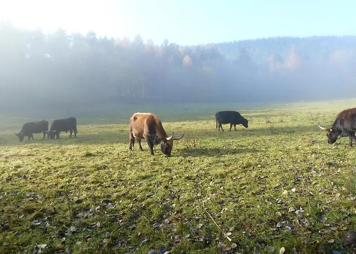 Vino Palatina Appartement *