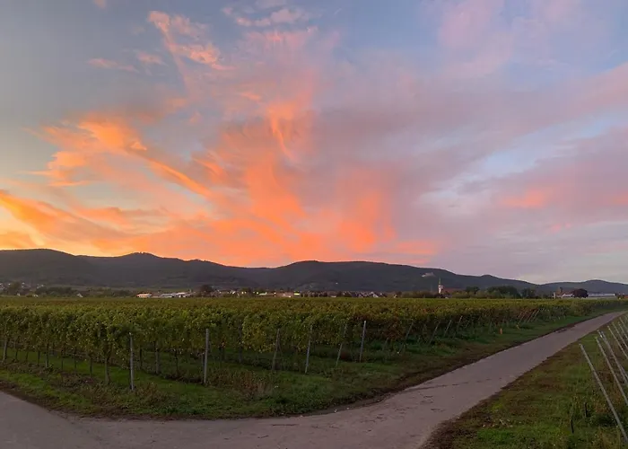 Appartement Vino Palatina Maikammer