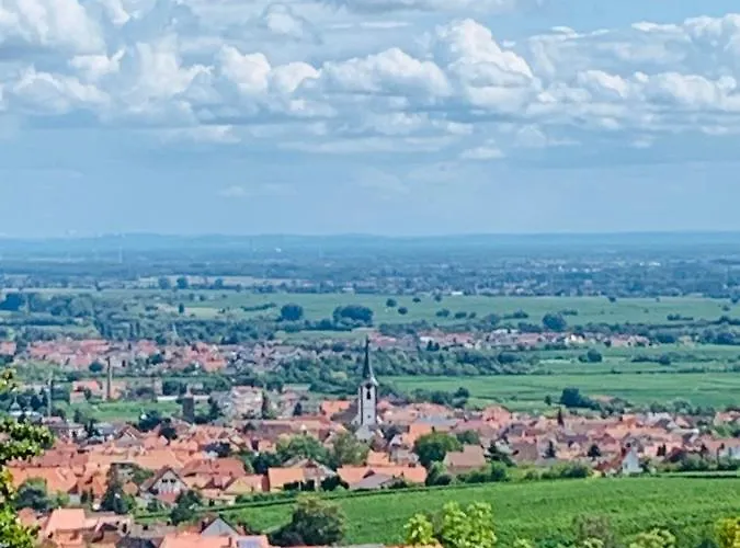 Appartamento Vino Palatina *