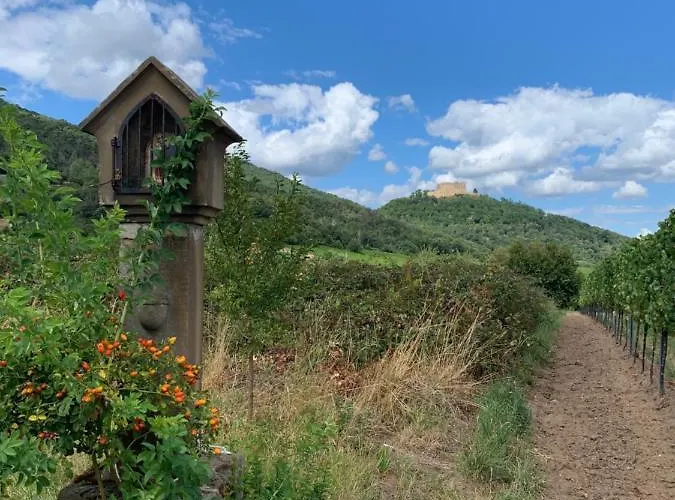 Appartamento Vino Palatina *