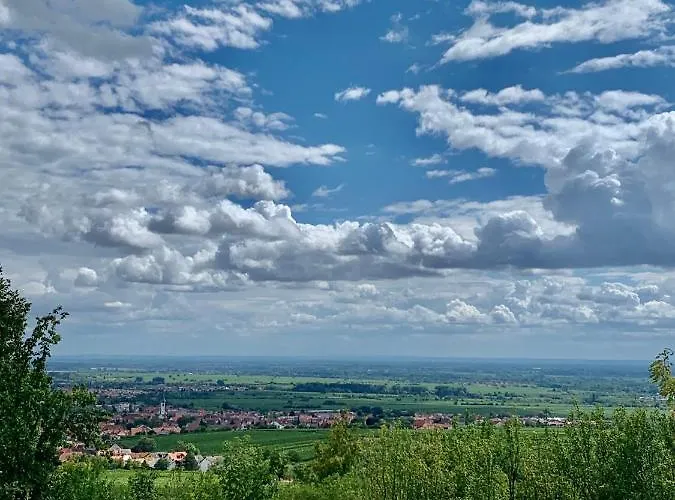 Appartement Vino Palatina *