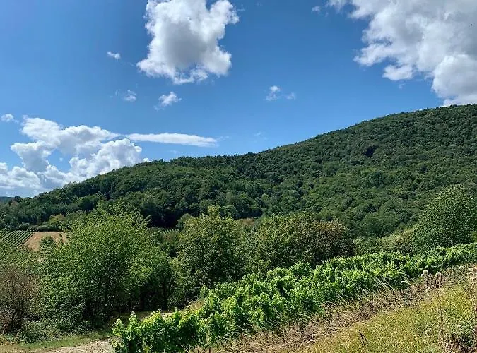 Appartamento Vino Palatina *